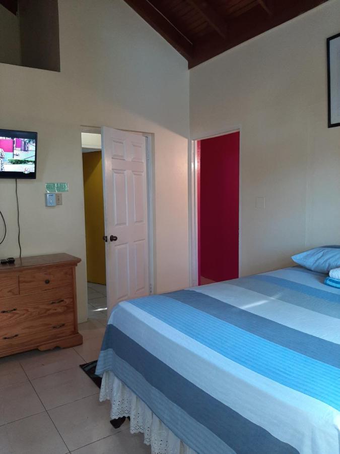 Dancehall Hostel 金斯敦 外观 照片